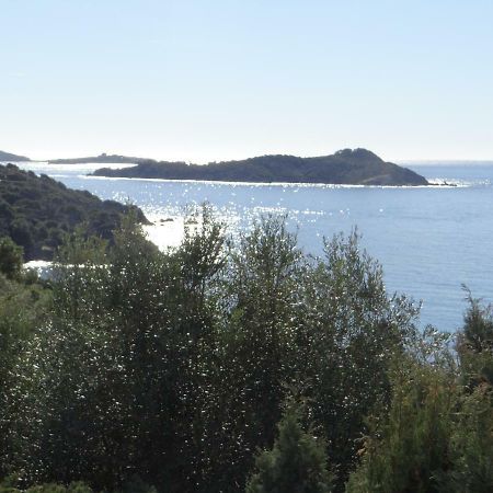 Appartement T2 50M² Vue Mer Presqu'Il De Giens. Rc Hyères Kültér fotó