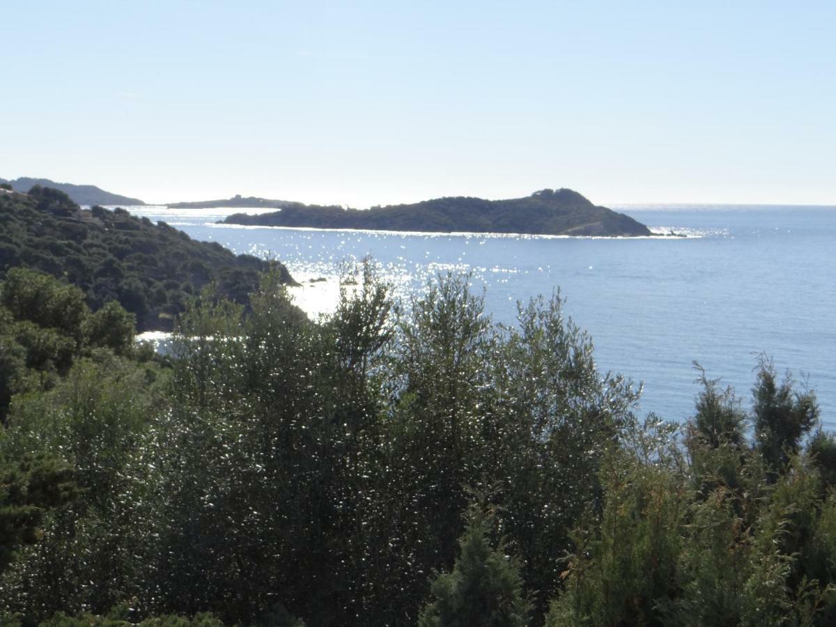 Appartement T2 50M² Vue Mer Presqu'Il De Giens. Rc Hyères Kültér fotó